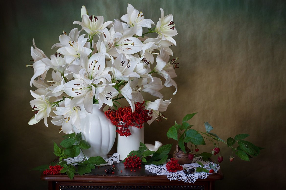 Лилия белоснежная, Lilija Belaja (Lilium candidum)