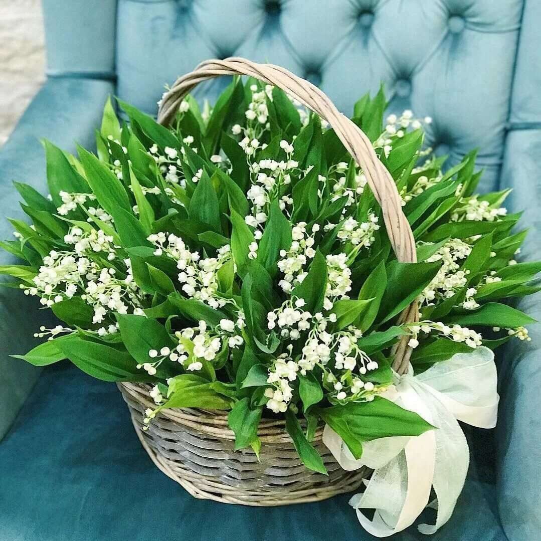 Ландыши Ландыши тюльпаны Ландыши
