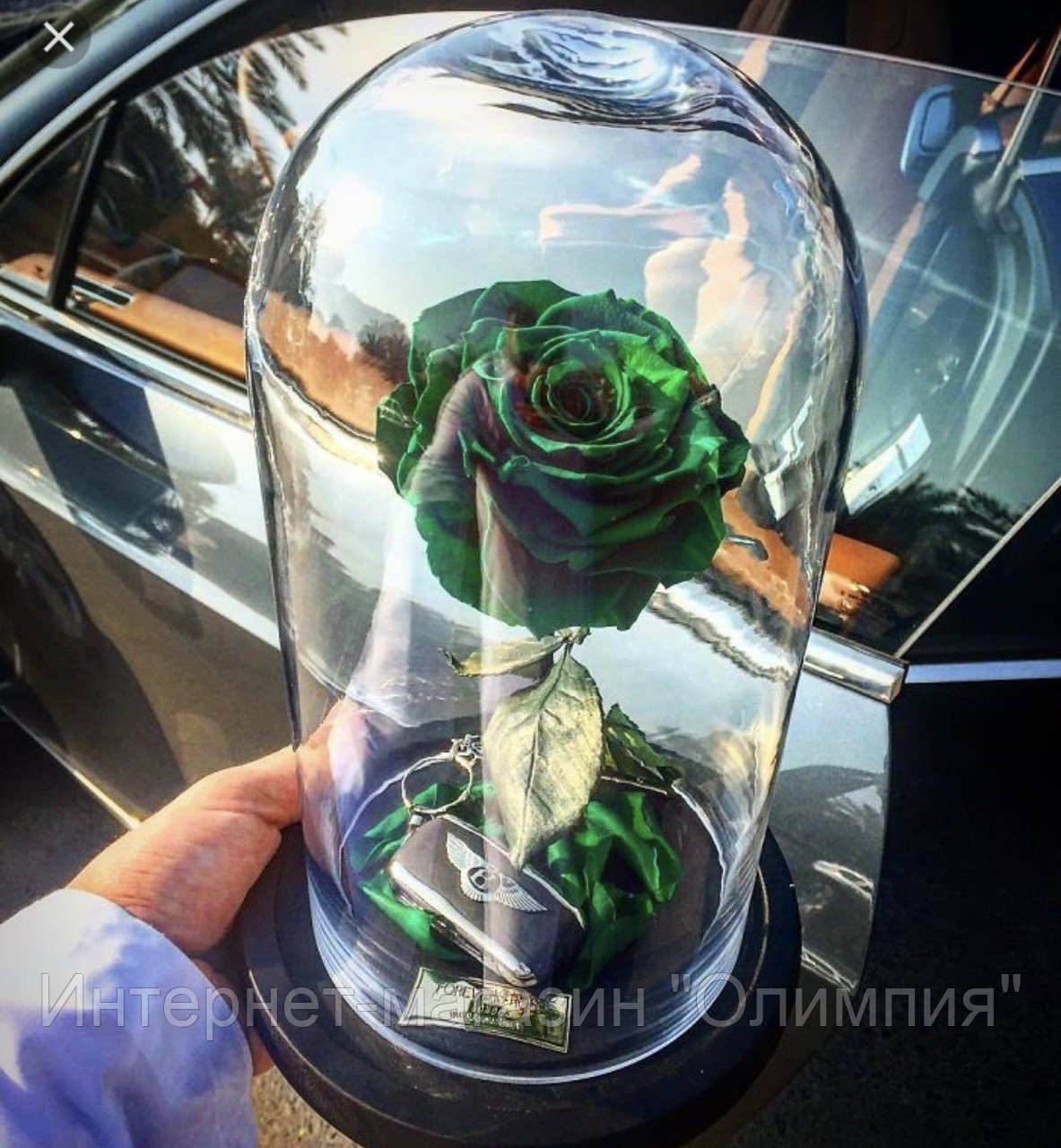 Роза в колбе с девушкой