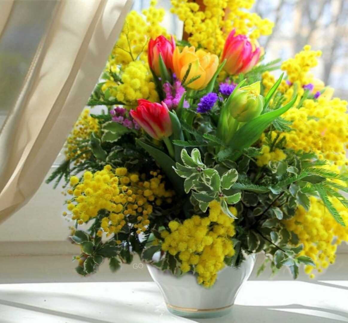 Золотое Руно натюрморт с мимозой