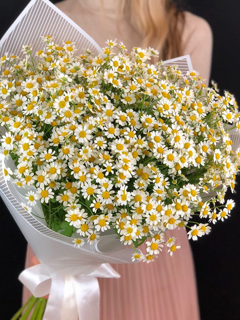 Дамасская Ромашка