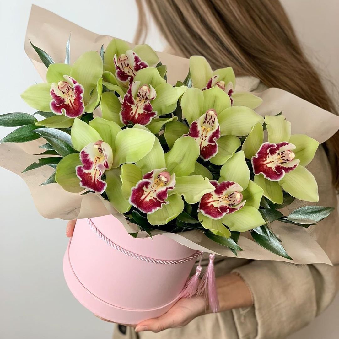 Маттиола Эстетика