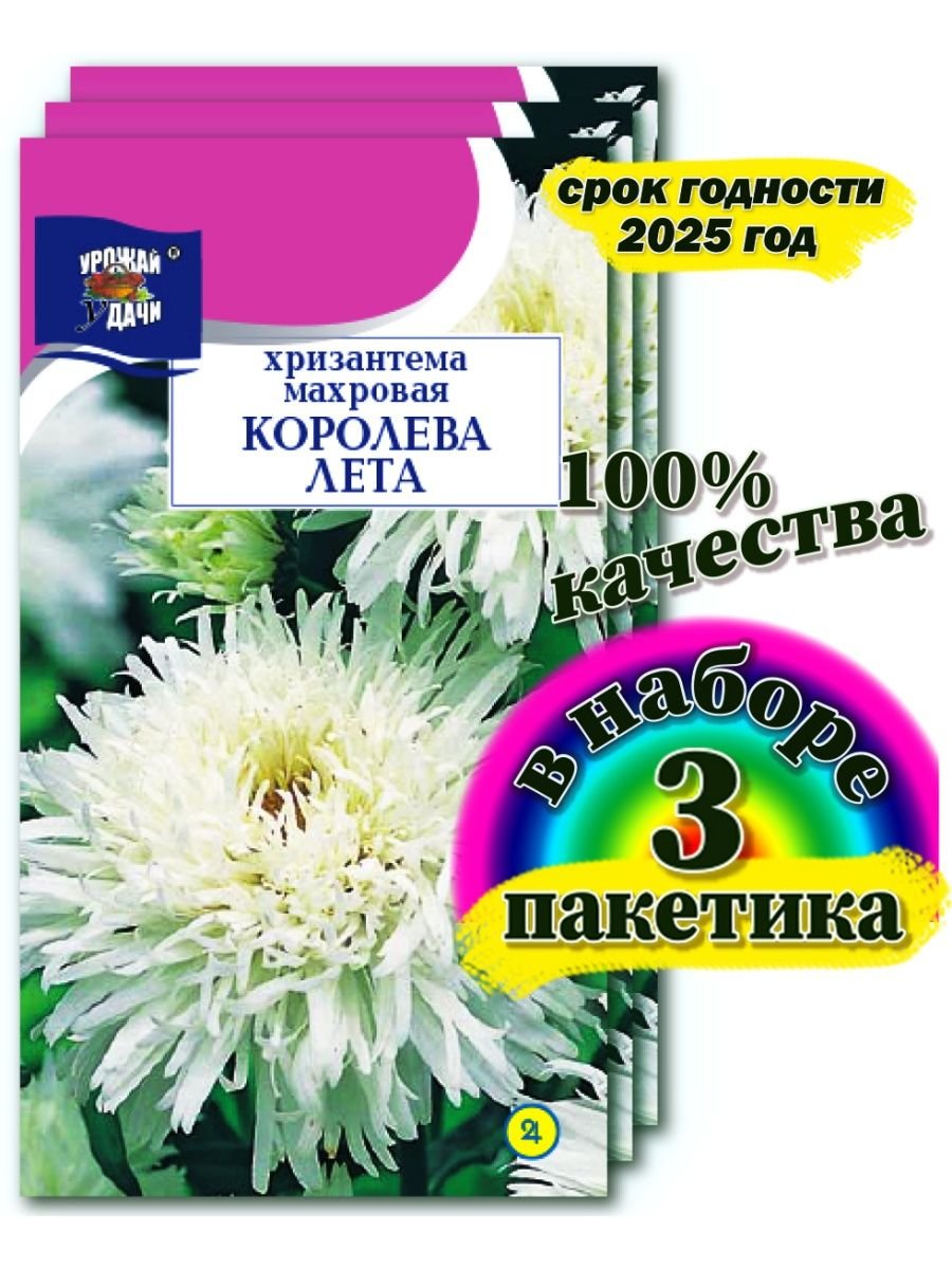 Хризантема платье невесты 0,05г ц/п (Аэлита) махровая,20см