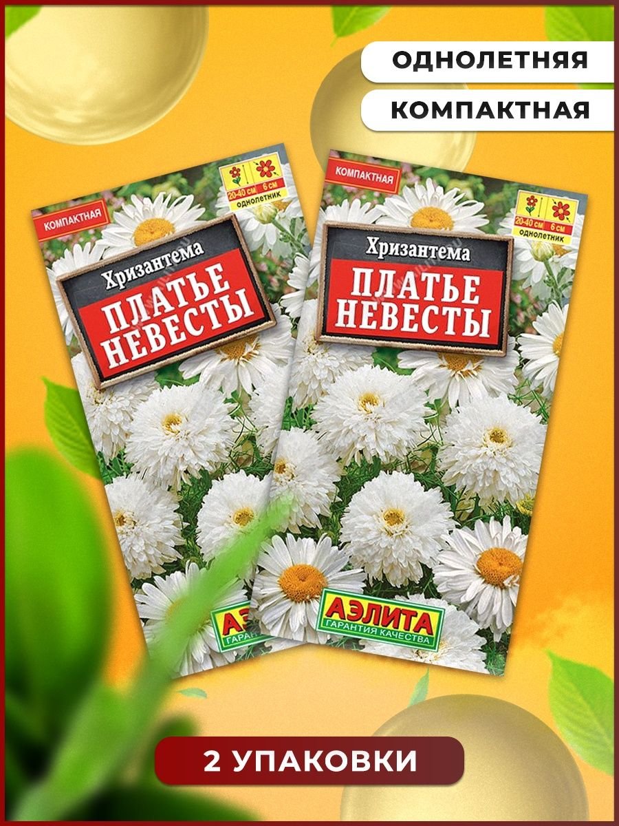 Хризантема Бруно
