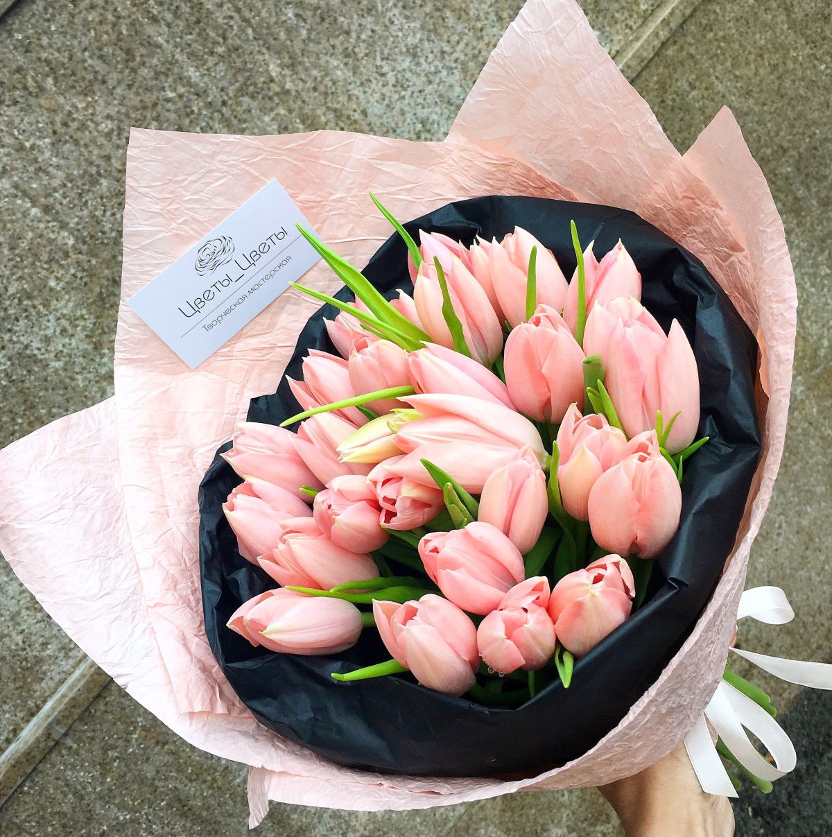 Tulipa aesthetic