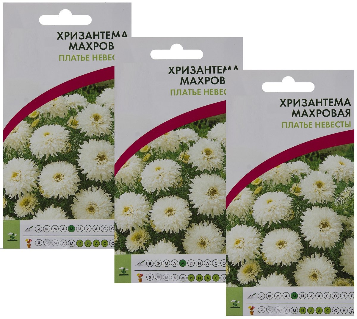 Альбом для рисования Хризантема