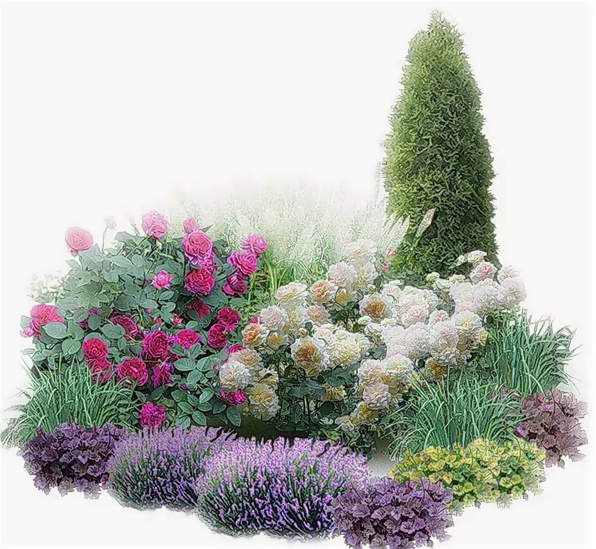 Клумба с цветами и кустарниками