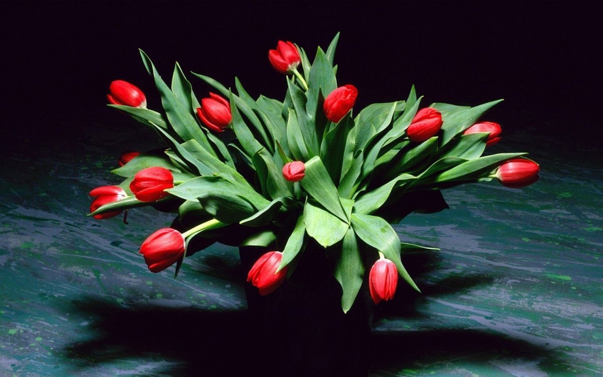 Букет тюльпанов на черном фоне