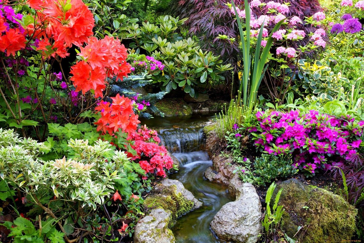 Клумба водопад из цветов