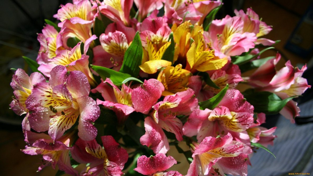 Распространенные цветы для букетов