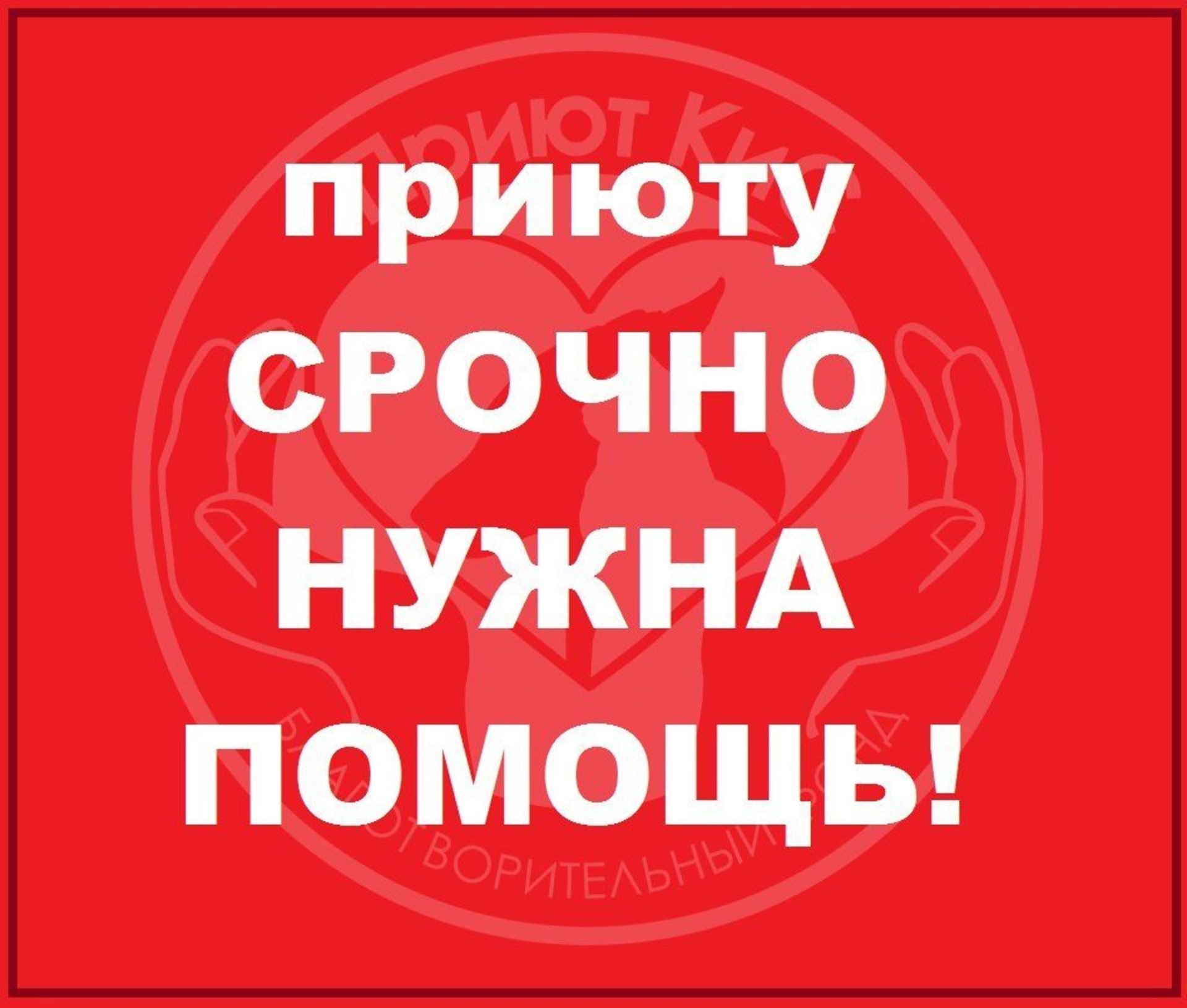 Помощь приюту. Срочно нужна помощь. Нужна помощь. Приюту срочно нужна помощь.