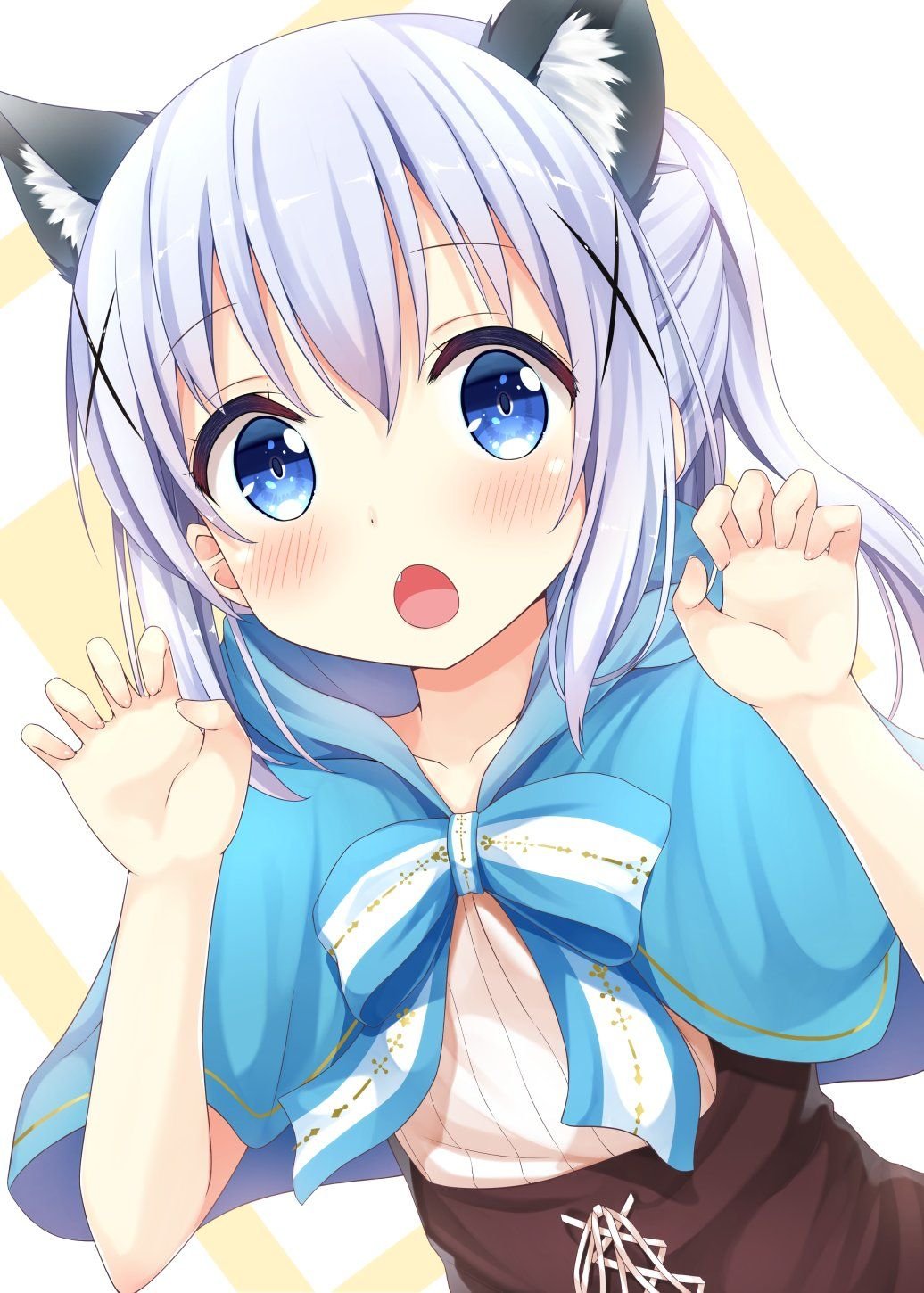 Kafuu Chino неко