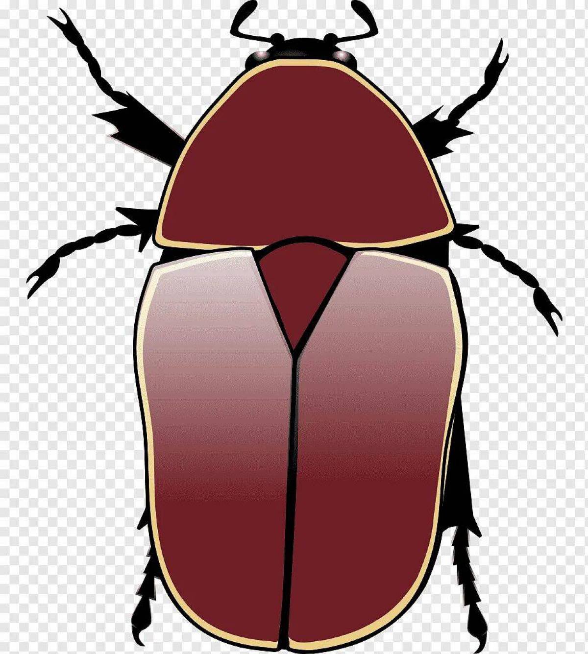 Pachnoda marginata aurantia