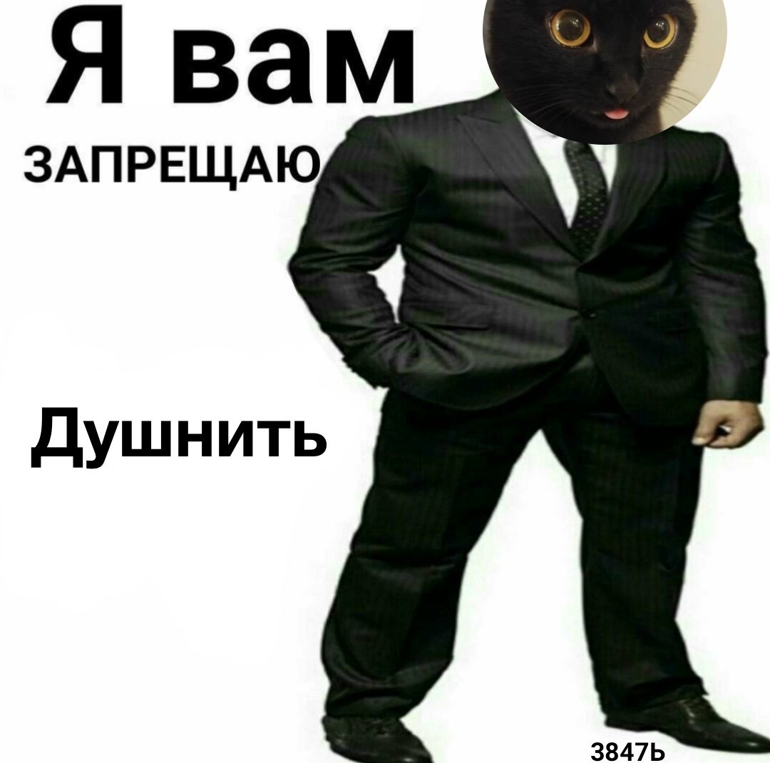 Душный душнила
