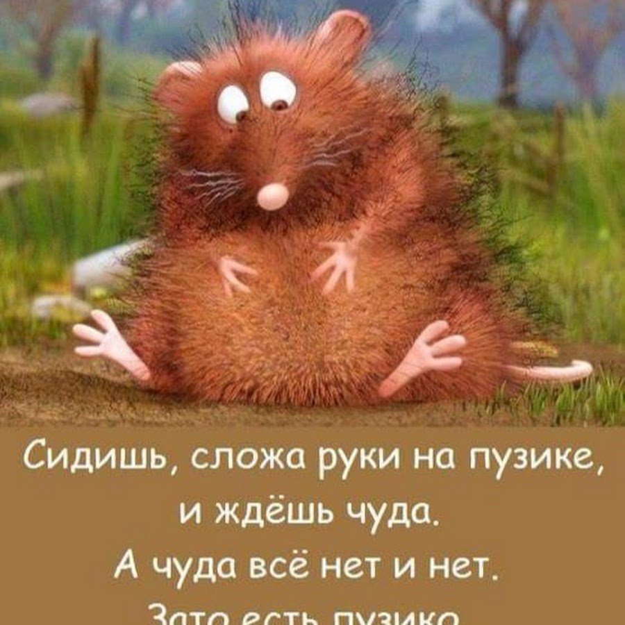 Сидишь сложа руки на пузике и ждешь