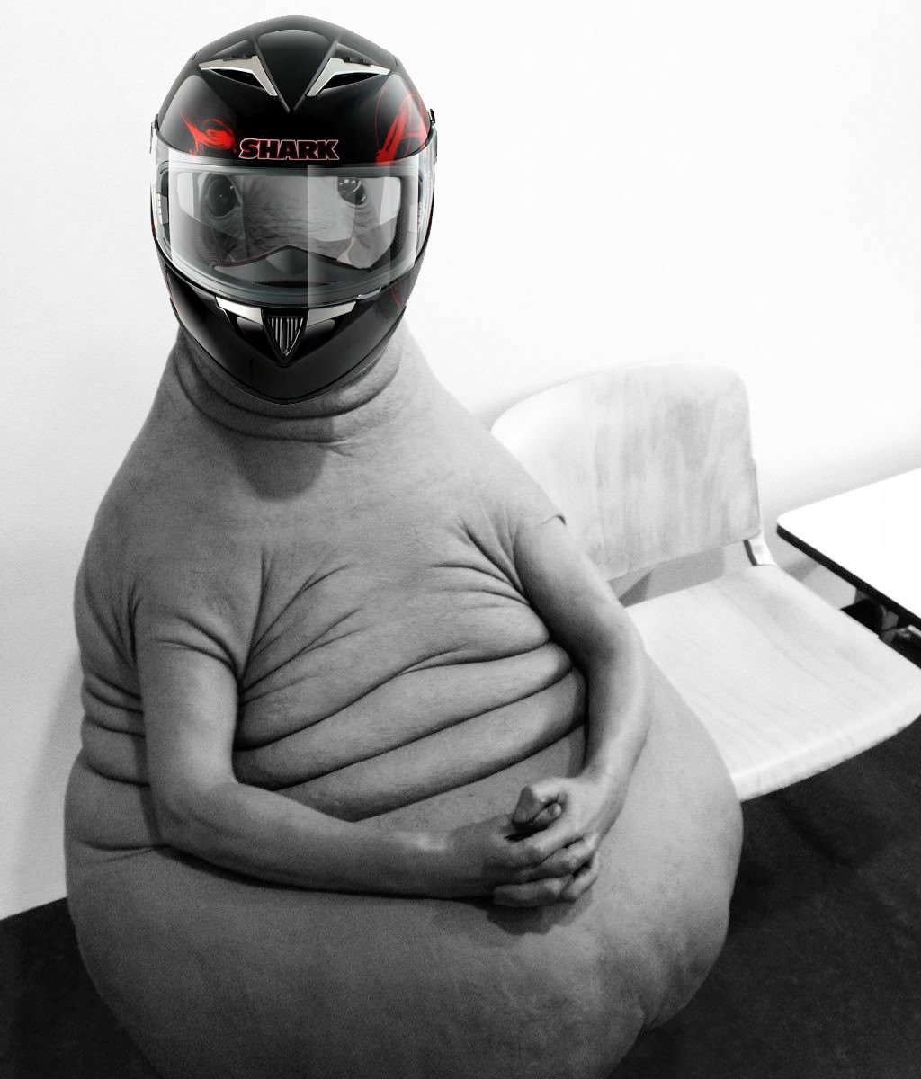 Ждун мото