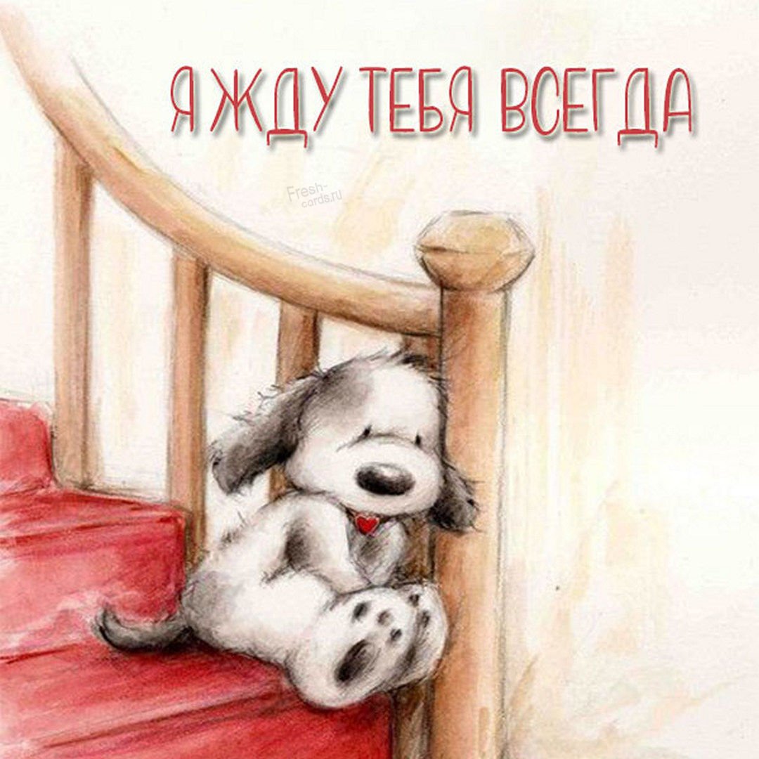 Открытка «я скучаю»