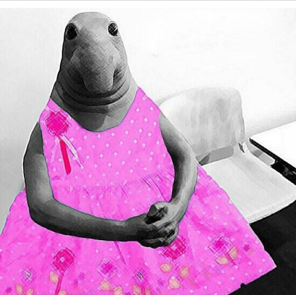 Ждун в платье
