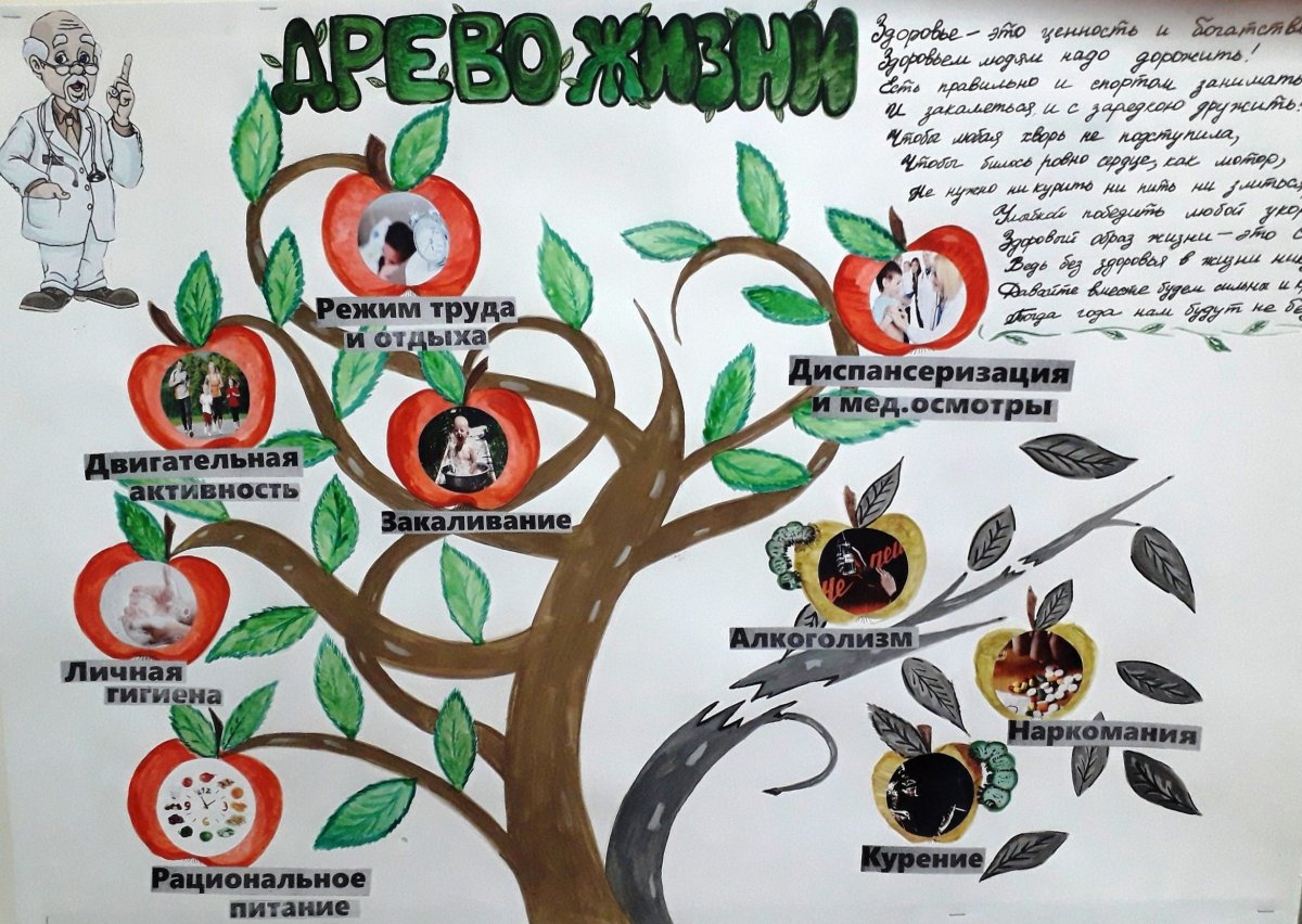 Дерево здоровья в картинках для детей зож