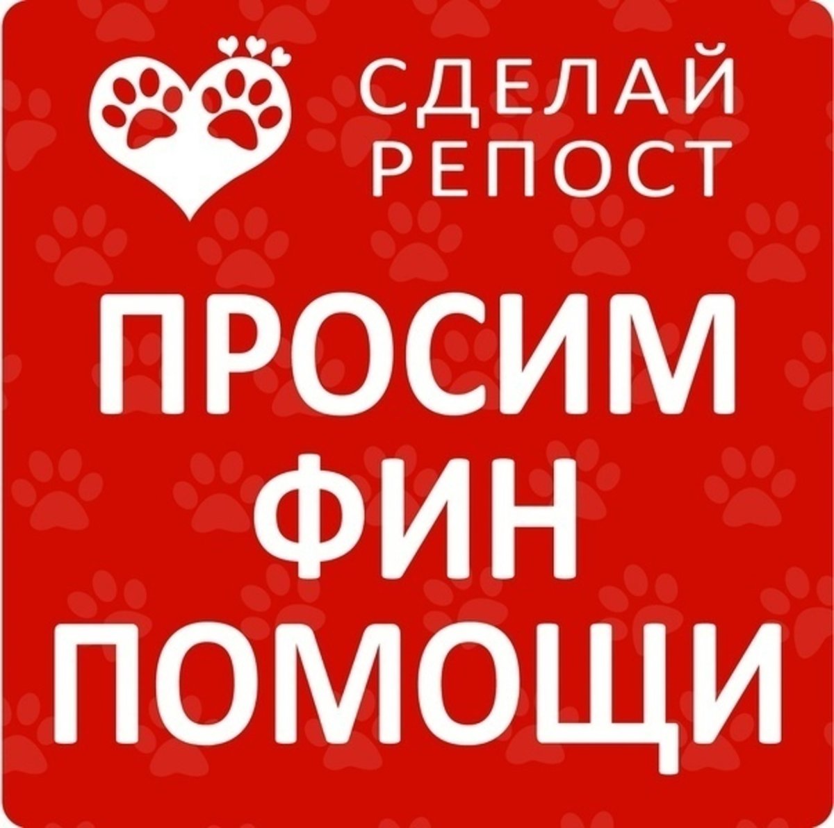 Очень прошу помочь. Просим финансовой помощи. Нужна фин помощь. Просим вашей помощи. Нужна финансовая помощь.