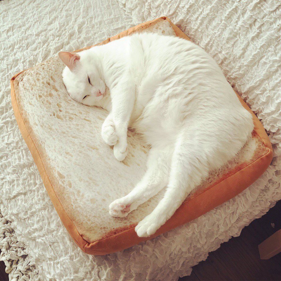 Подушка котик