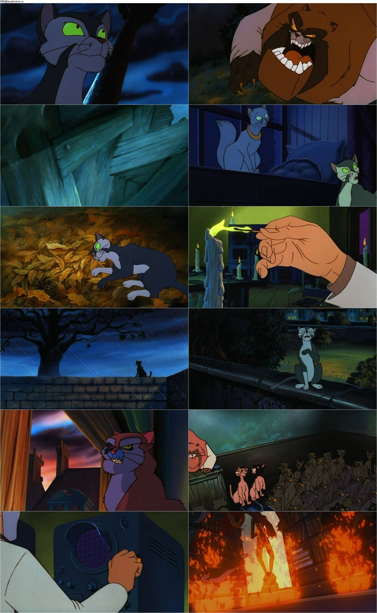 Felidae 1994
