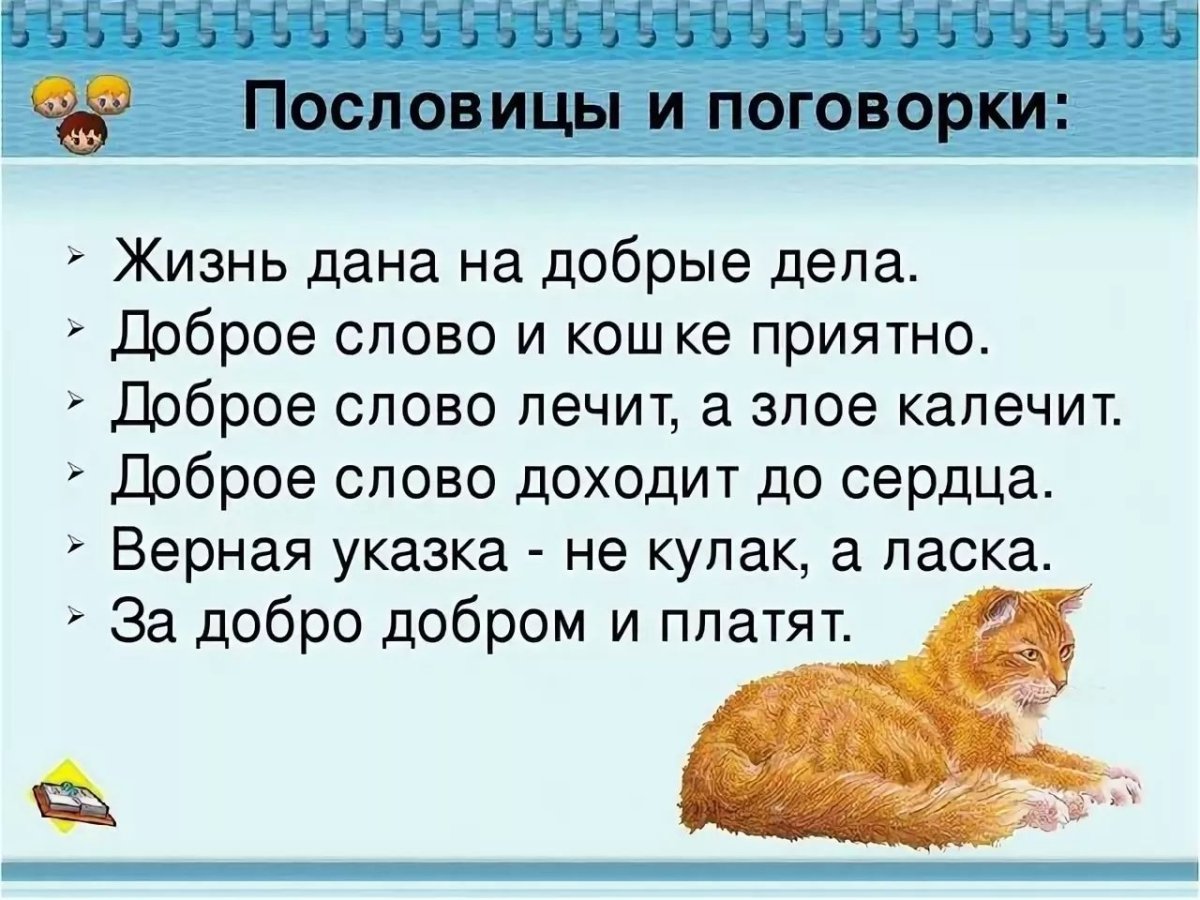 Поговорки про котов