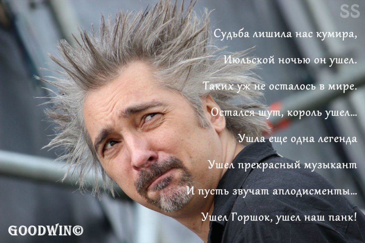 Горшок Король и Шут