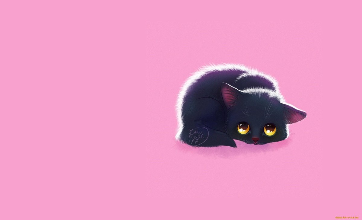 Милые котики на розовом фоне