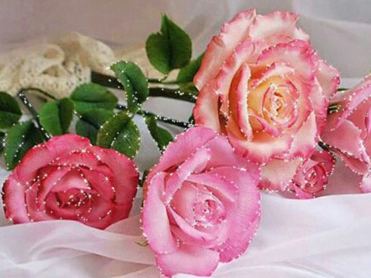 Розы с блестками букеты