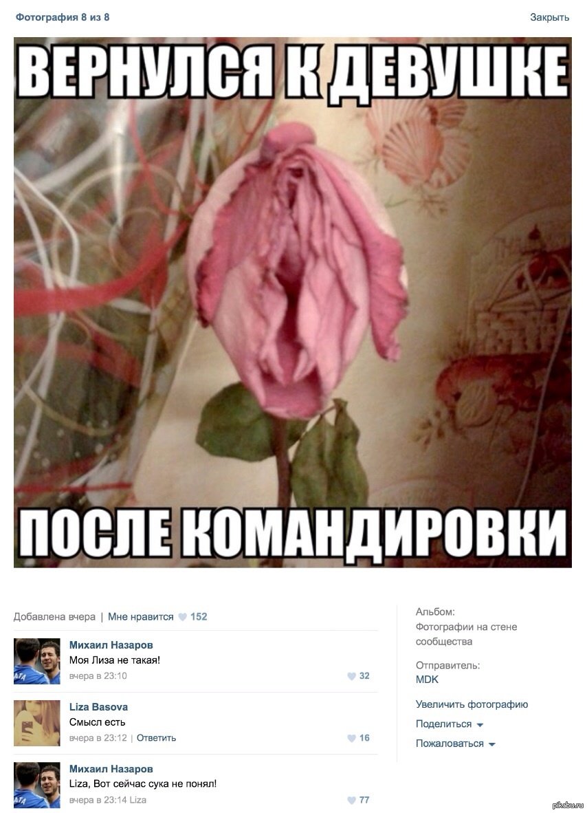 Розовый цветок похожий на вагину