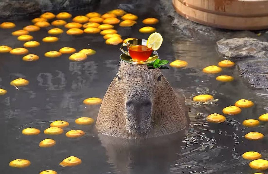 Капибара убийца