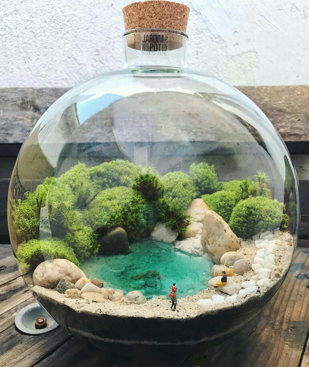Аквариумный флорариум