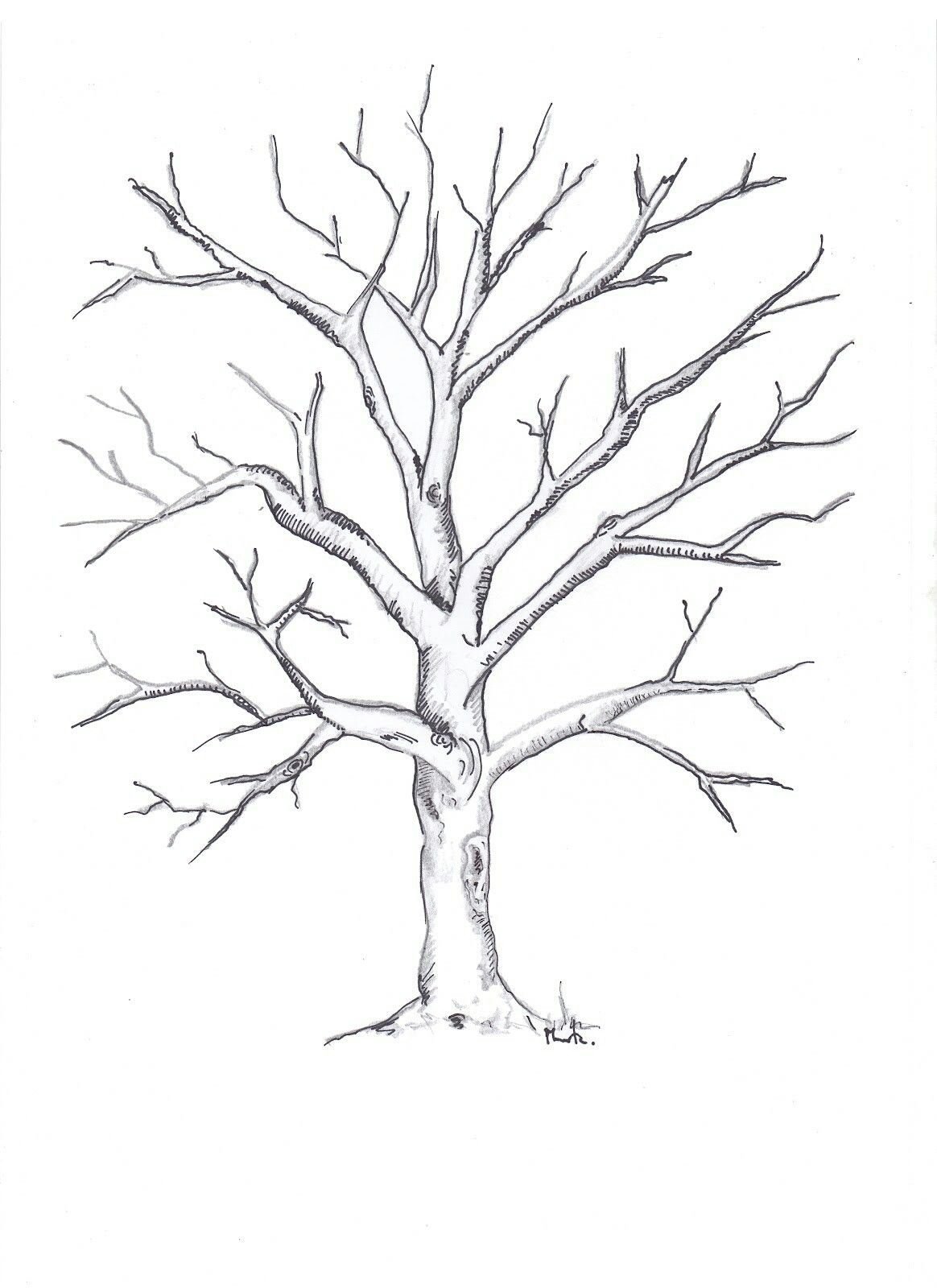 Шаблон зимнее дерево