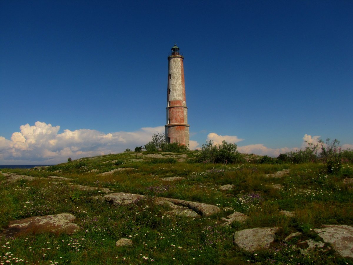 Остров Чечень в Дагестане