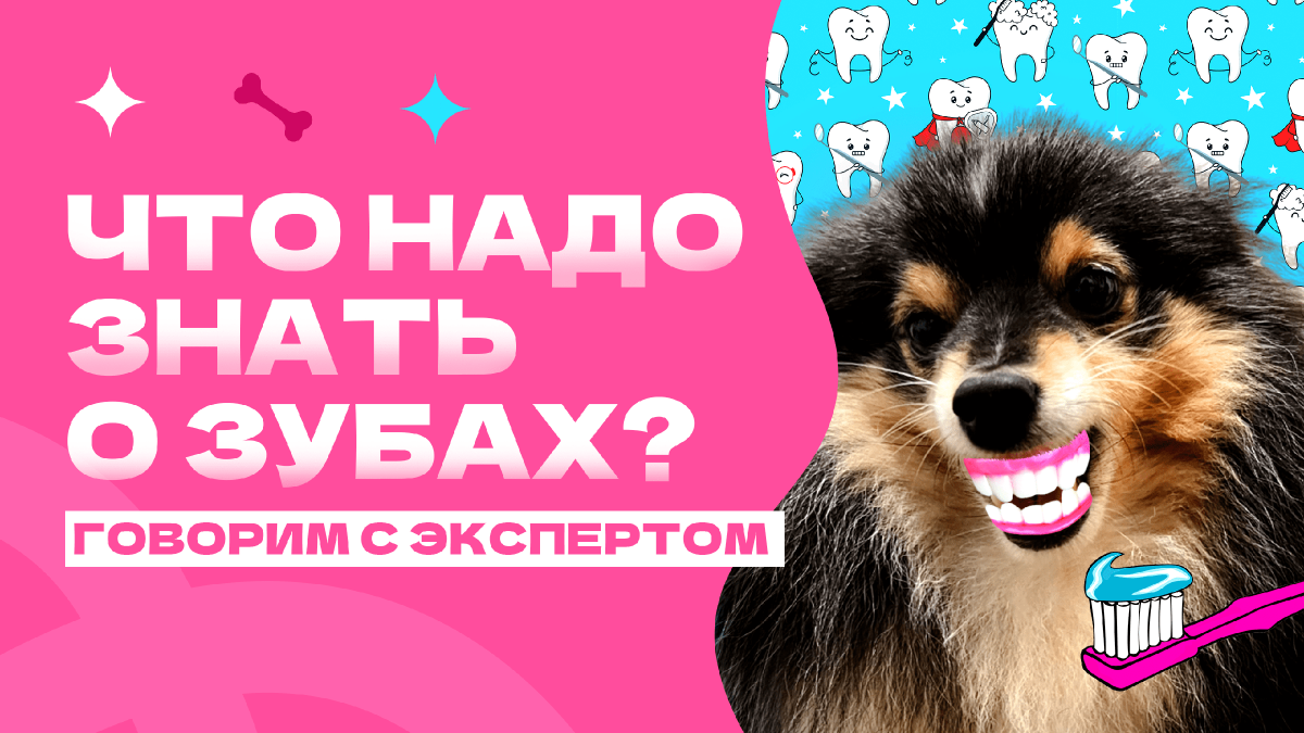 Собачка Элис