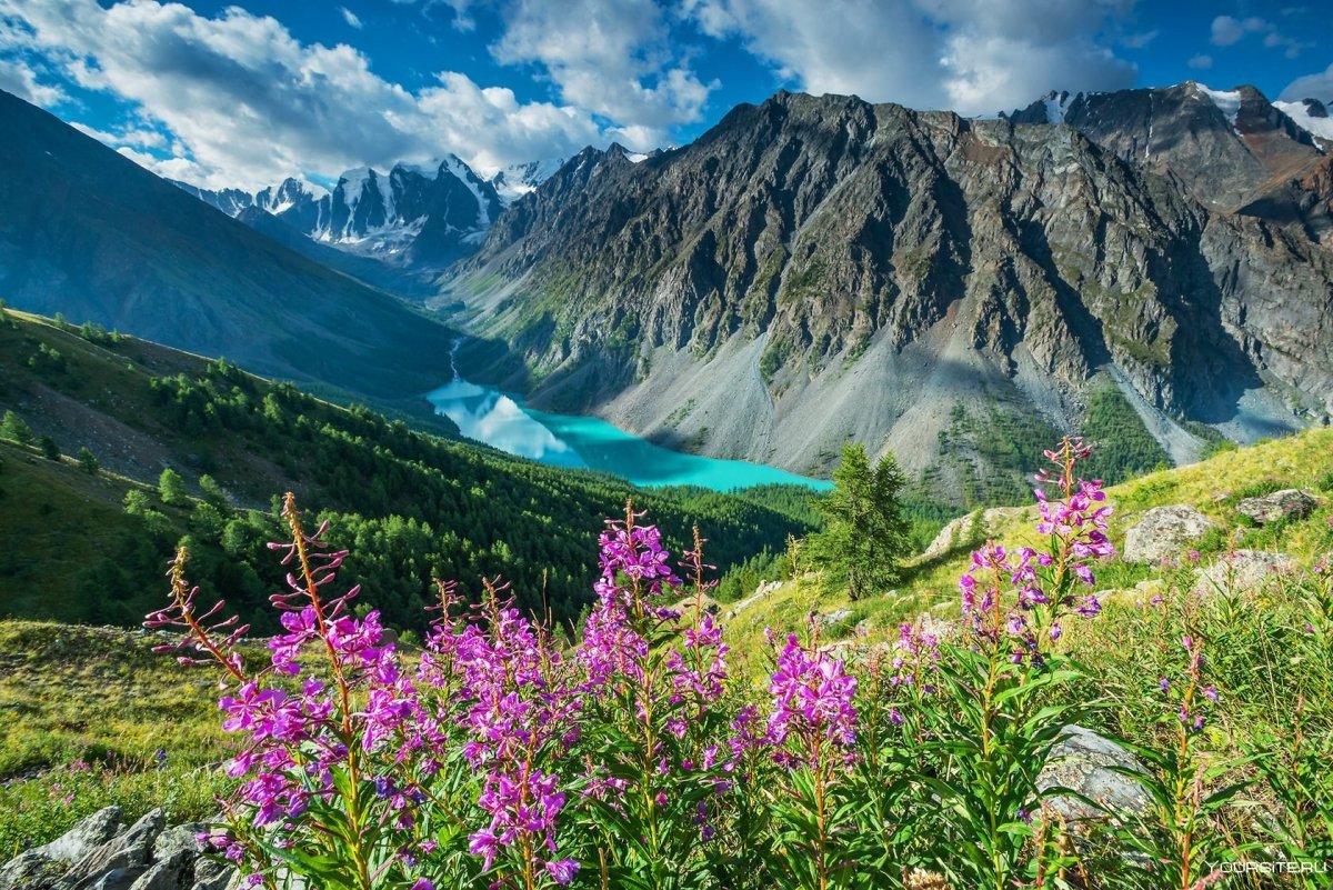 Горы Алтая Горно=Алтайск