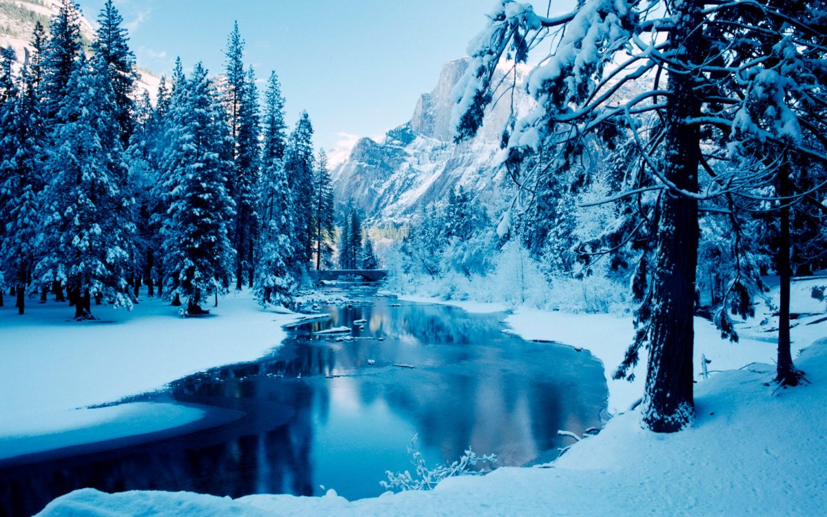 Зимняя природа