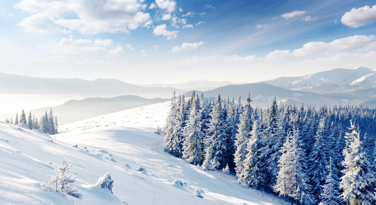 Зимняя панорама