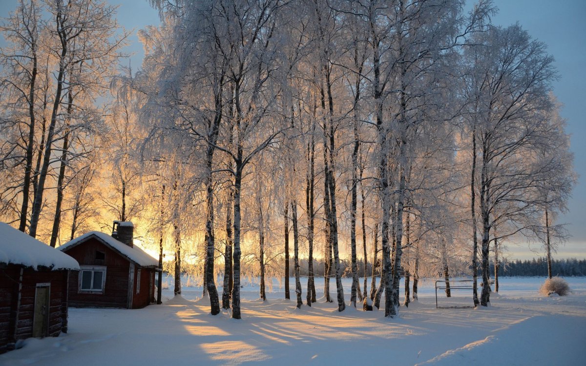 Зимняя природа